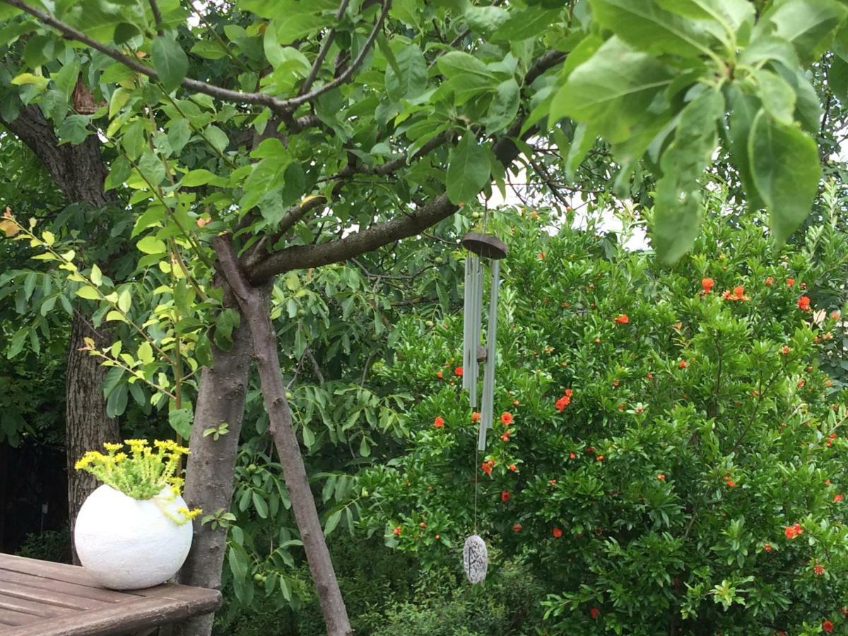 Il Giardino B&B Кастельветро-ді-Модена Екстер'єр фото