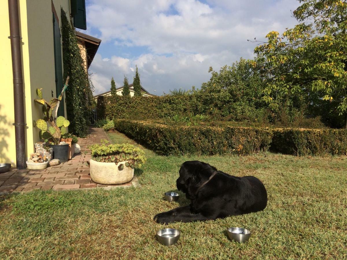 Il Giardino B&B Кастельветро-ді-Модена Екстер'єр фото